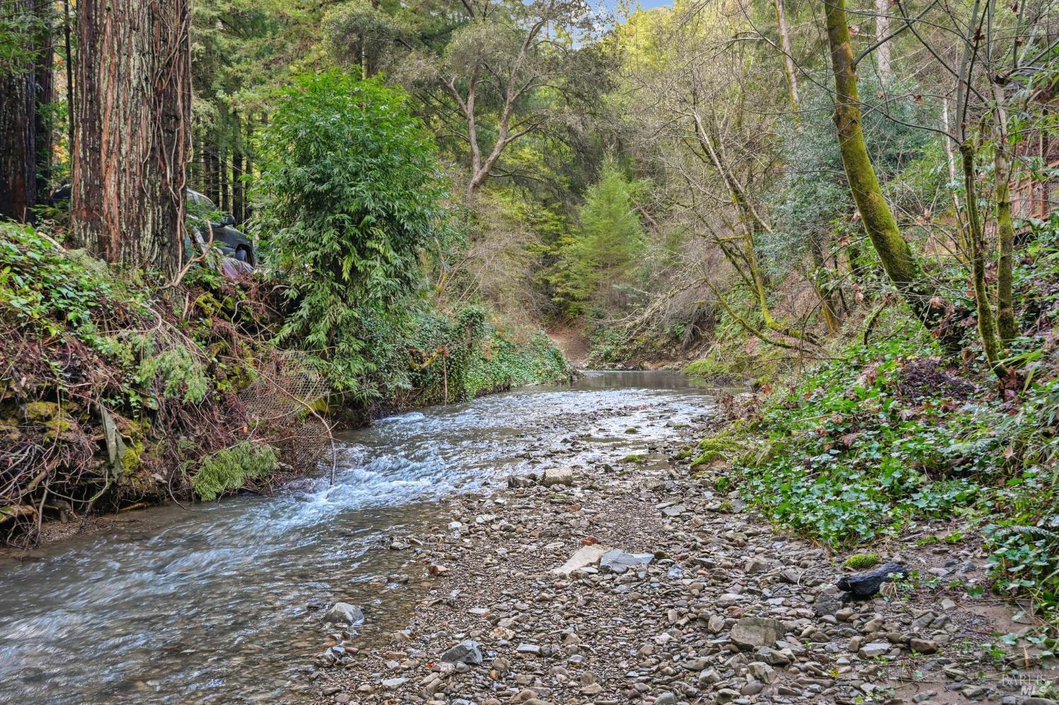 Detail Gallery Image 6 of 63 For 16190 Fern Way, Guerneville,  CA 95446 - 2 Beds | 2 Baths