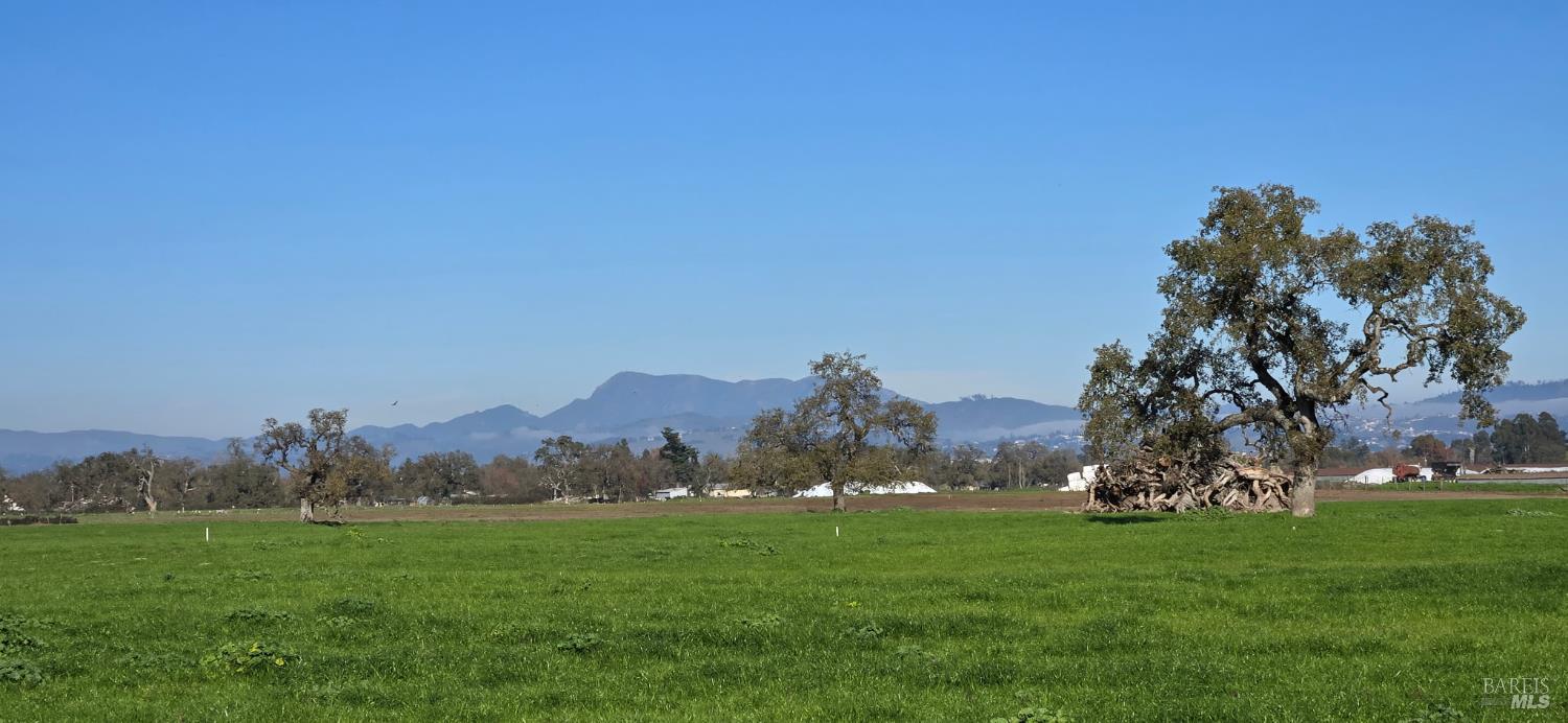 Detail Gallery Image 46 of 52 For 1979 Ludwig Ave, Santa Rosa,  CA 95407 - 3 Beds | 2 Baths