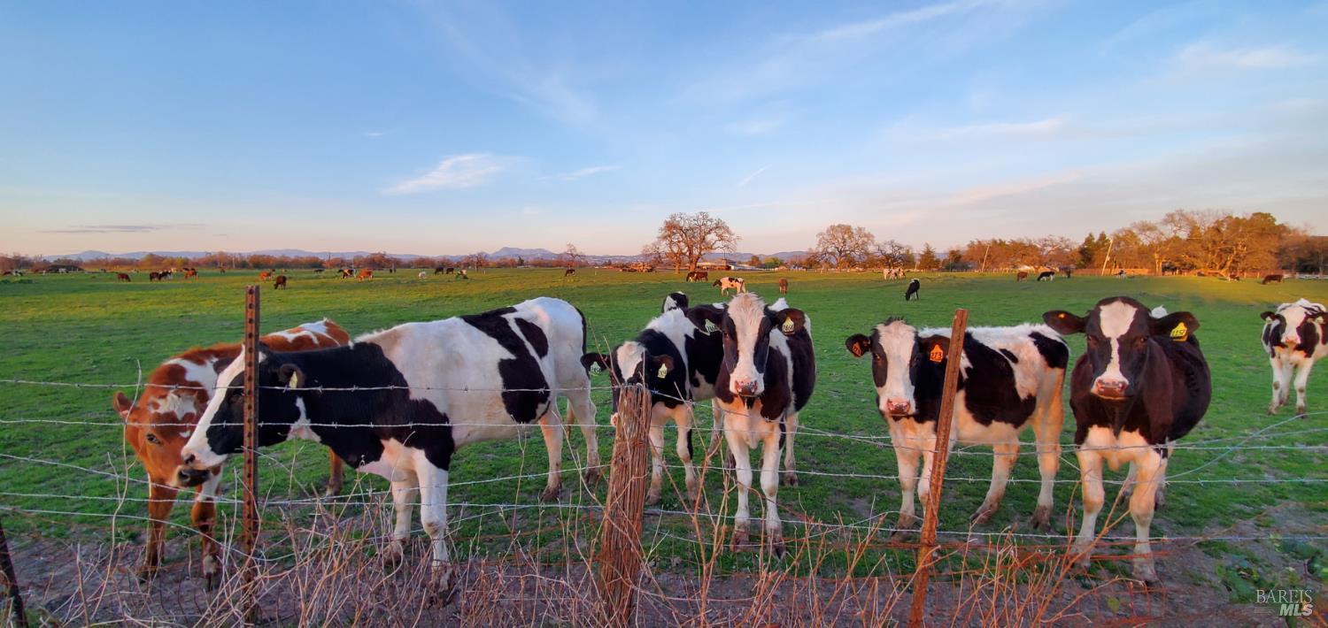 Detail Gallery Image 50 of 52 For 1979 Ludwig Ave, Santa Rosa,  CA 95407 - 3 Beds | 2 Baths