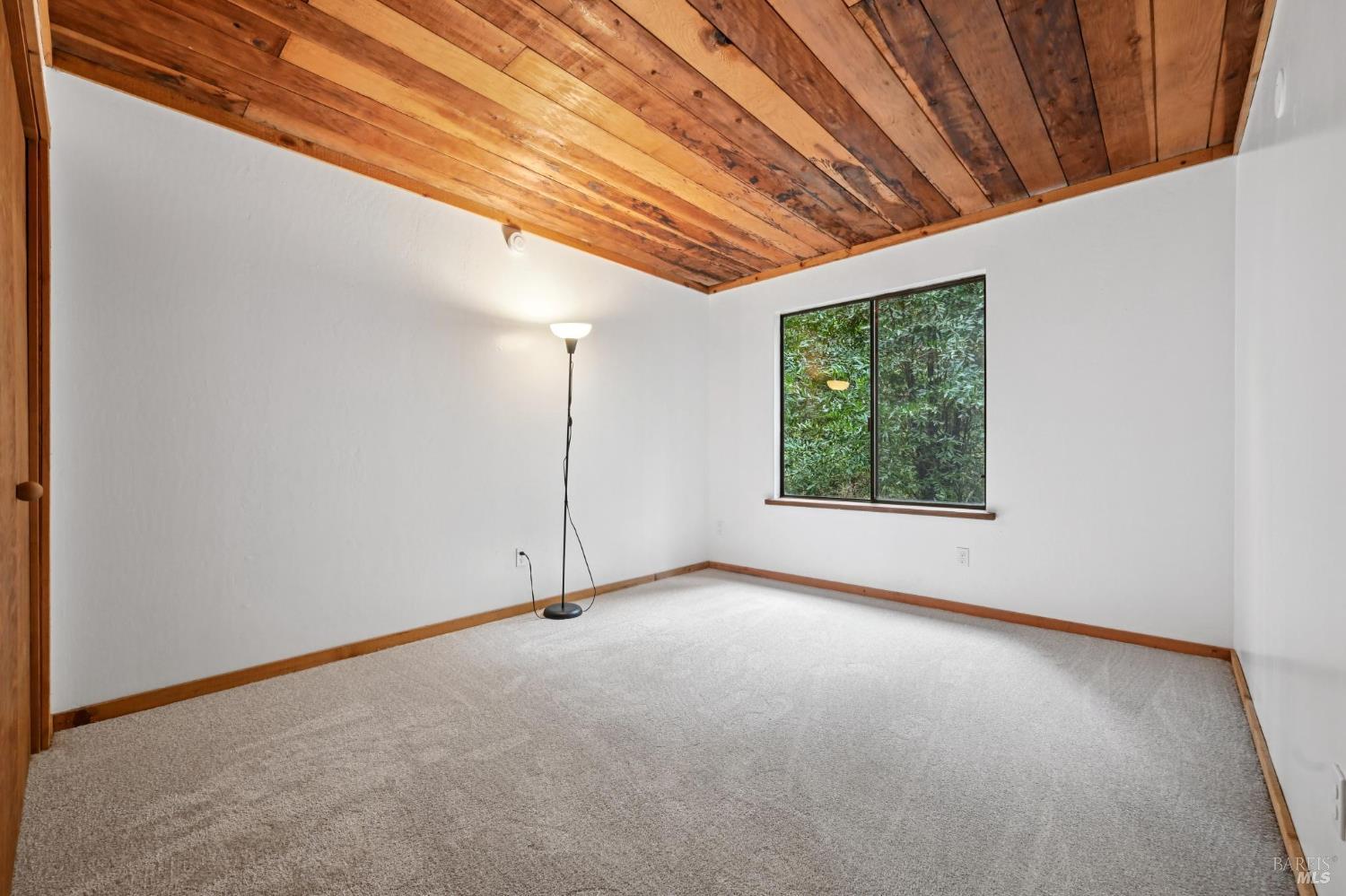 Detail Gallery Image 20 of 63 For 16190 Fern Way, Guerneville,  CA 95446 - 2 Beds | 2 Baths