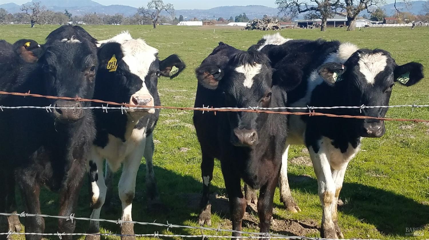 Detail Gallery Image 48 of 52 For 1979 Ludwig Ave, Santa Rosa,  CA 95407 - 3 Beds | 2 Baths