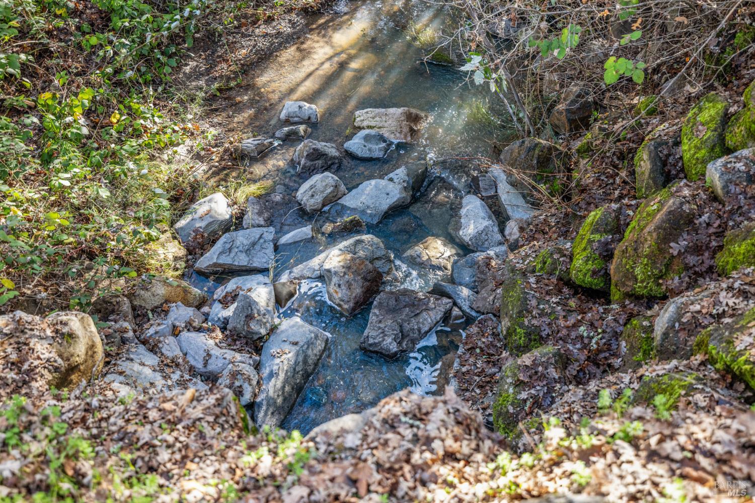 Detail Gallery Image 40 of 62 For 9105 Loch Haven Dr, Santa Rosa,  CA 95404 - 5 Beds | 4 Baths
