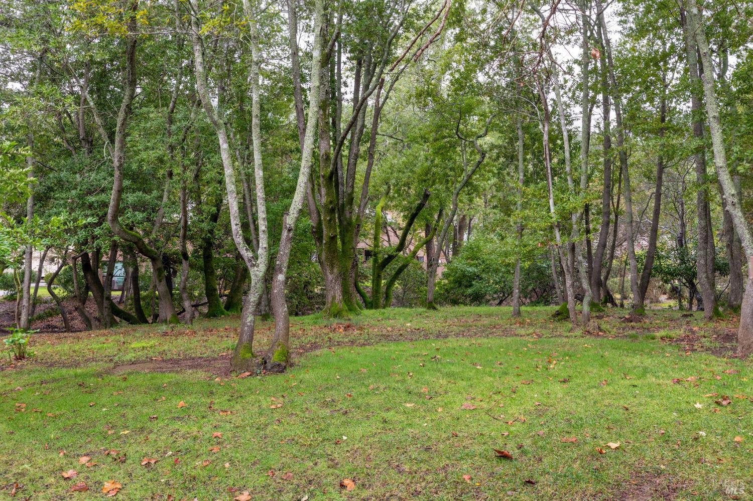 Detail Gallery Image 41 of 43 For 4 Hummingbird Way, Novato,  CA 94949 - 3 Beds | 2 Baths