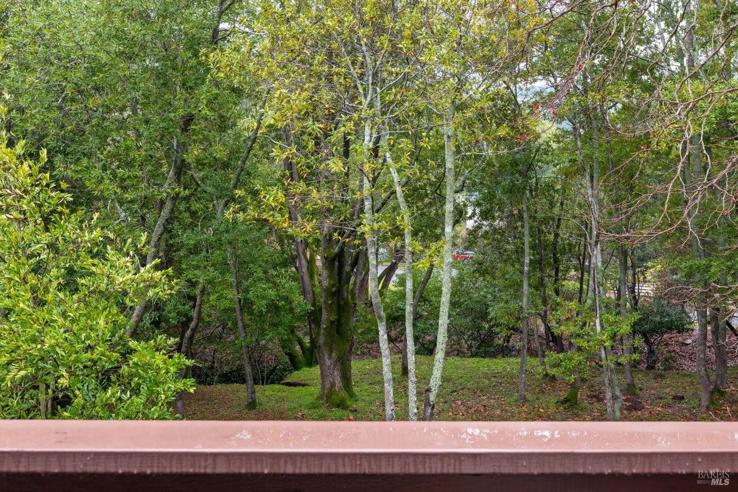 Detail Gallery Image 36 of 43 For 4 Hummingbird Way, Novato,  CA 94949 - 3 Beds | 2 Baths