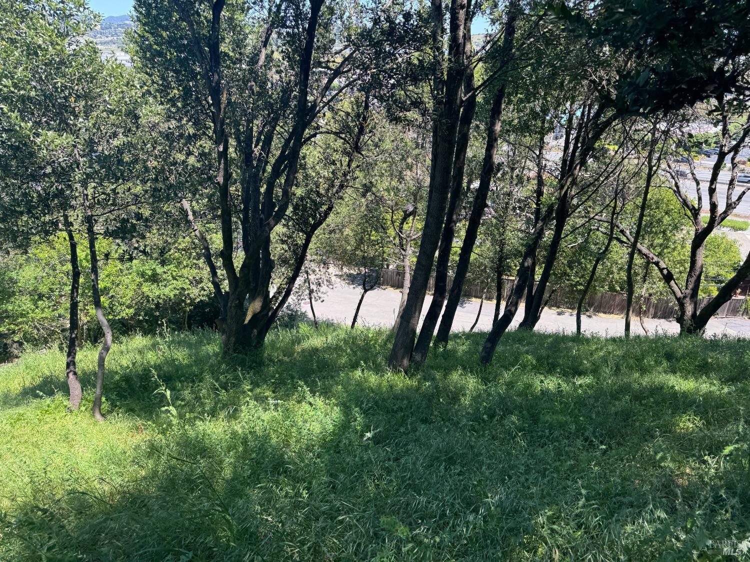 Detail Gallery Image 21 of 44 For 815 Meadowsweet Dr, Corte Madera,  CA 94925 - – Beds | – Baths