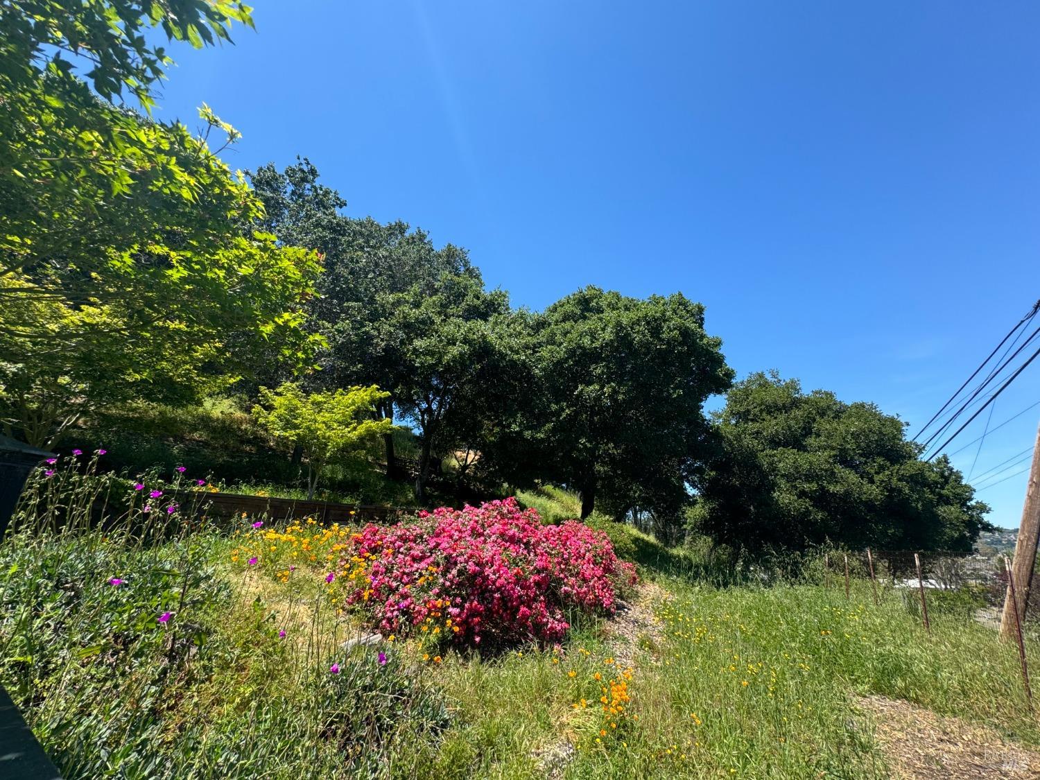 Detail Gallery Image 38 of 44 For 815 Meadowsweet Dr, Corte Madera,  CA 94925 - – Beds | – Baths