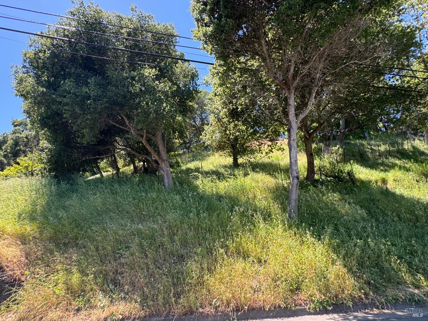 Detail Gallery Image 40 of 44 For 815 Meadowsweet Dr, Corte Madera,  CA 94925 - – Beds | – Baths