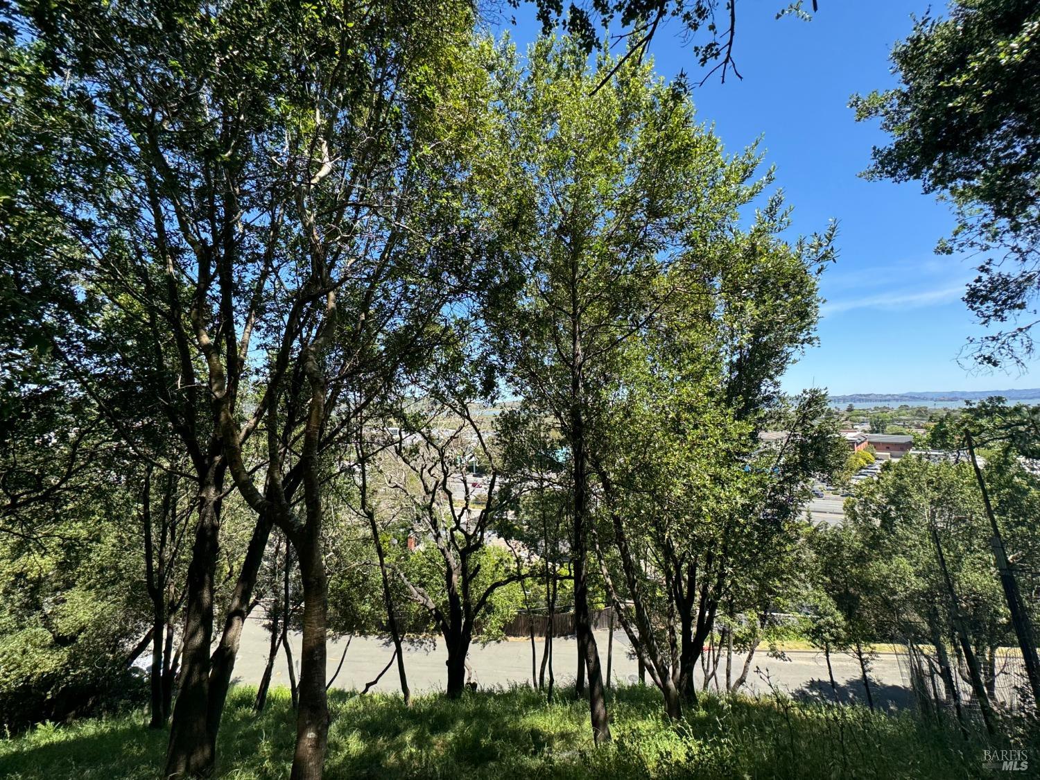 Detail Gallery Image 14 of 44 For 815 Meadowsweet Dr, Corte Madera,  CA 94925 - – Beds | – Baths