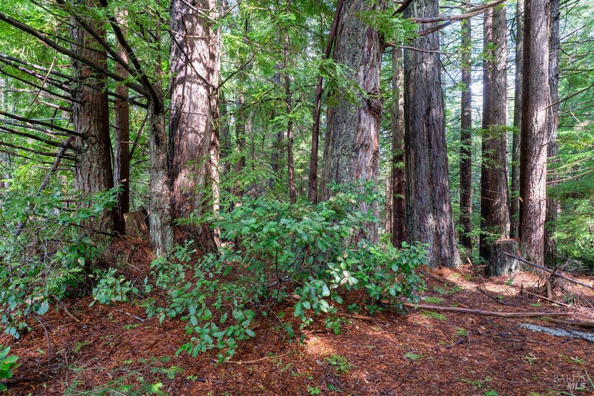 Detail Gallery Image 21 of 24 For 41600 Comptche-Ukiah Rd, Mendocino,  CA 95460 - 2 Beds | 1 Baths