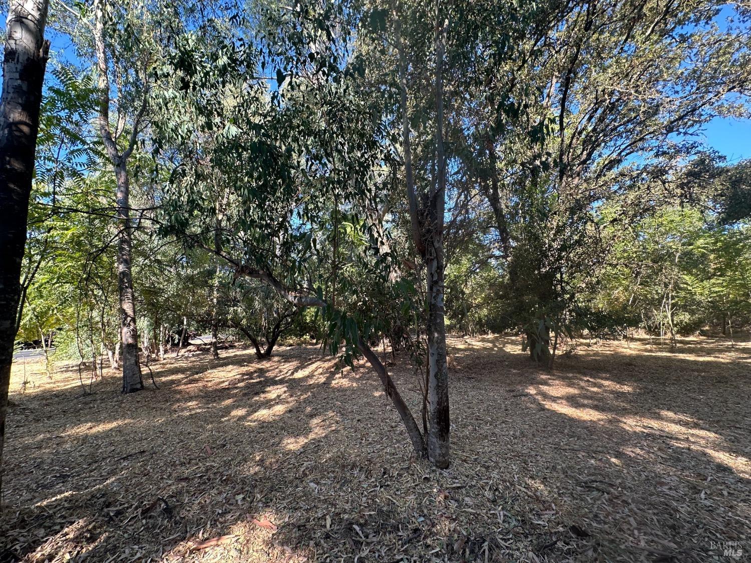 Detail Gallery Image 6 of 8 For 200 Napa Rd, Sonoma,  CA 95476 - – Beds | – Baths