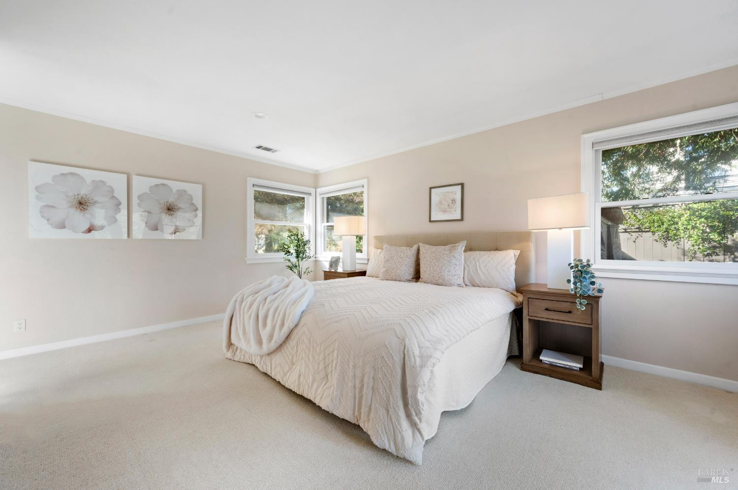 Detail Gallery Image 44 of 86 For 3182 Vichy Ave, Napa,  CA 94558 - 3 Beds | 2/1 Baths