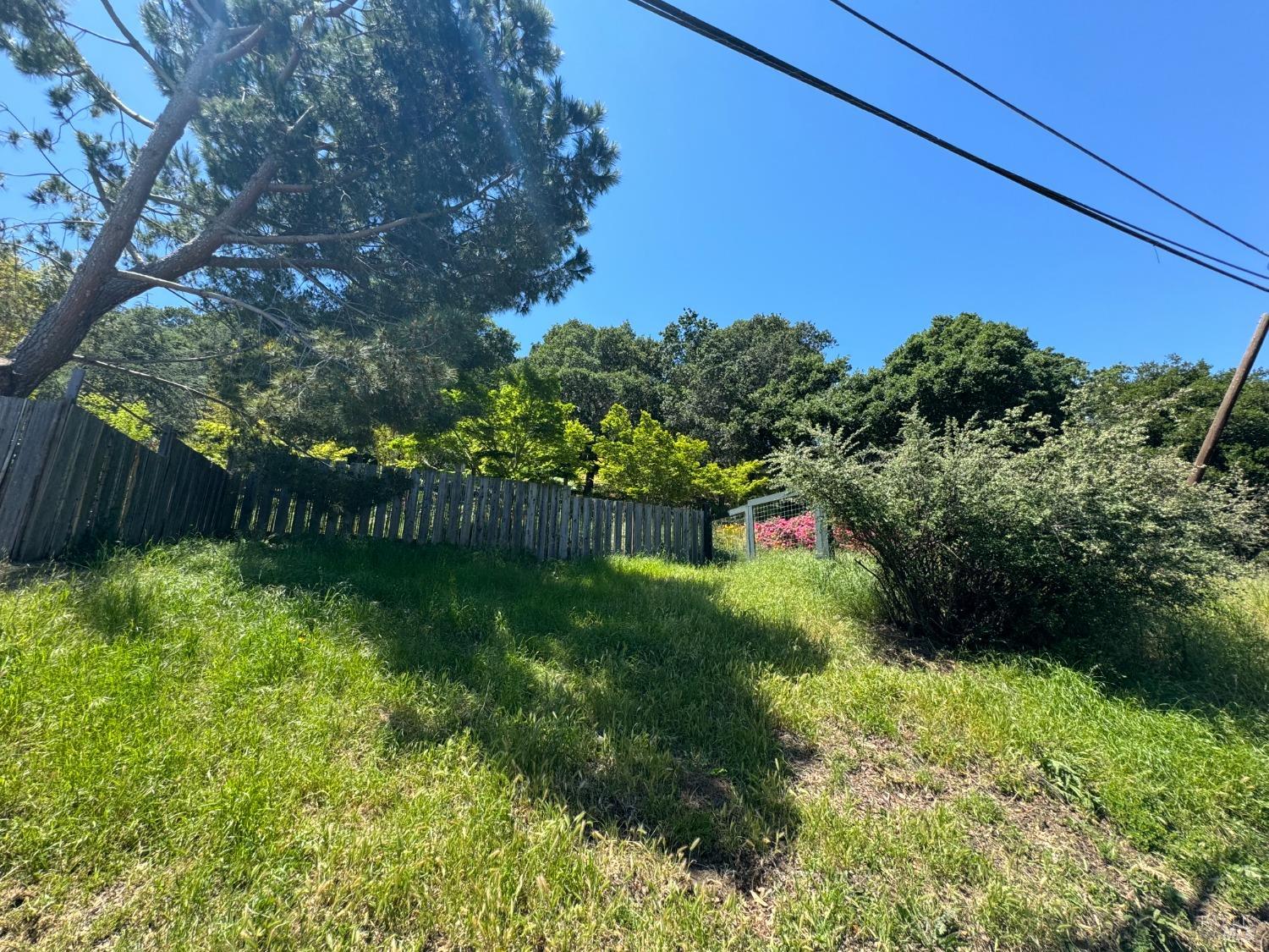 Detail Gallery Image 36 of 44 For 815 Meadowsweet Dr, Corte Madera,  CA 94925 - – Beds | – Baths