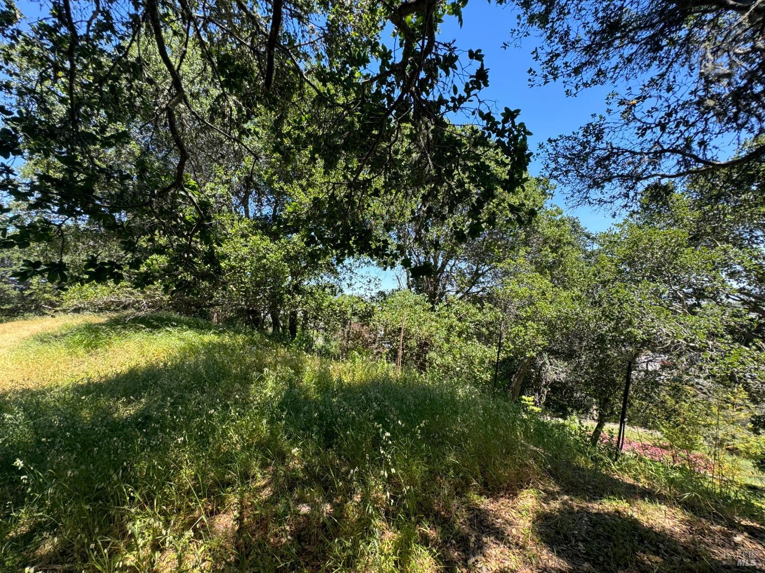 Detail Gallery Image 30 of 44 For 815 Meadowsweet Dr, Corte Madera,  CA 94925 - – Beds | – Baths