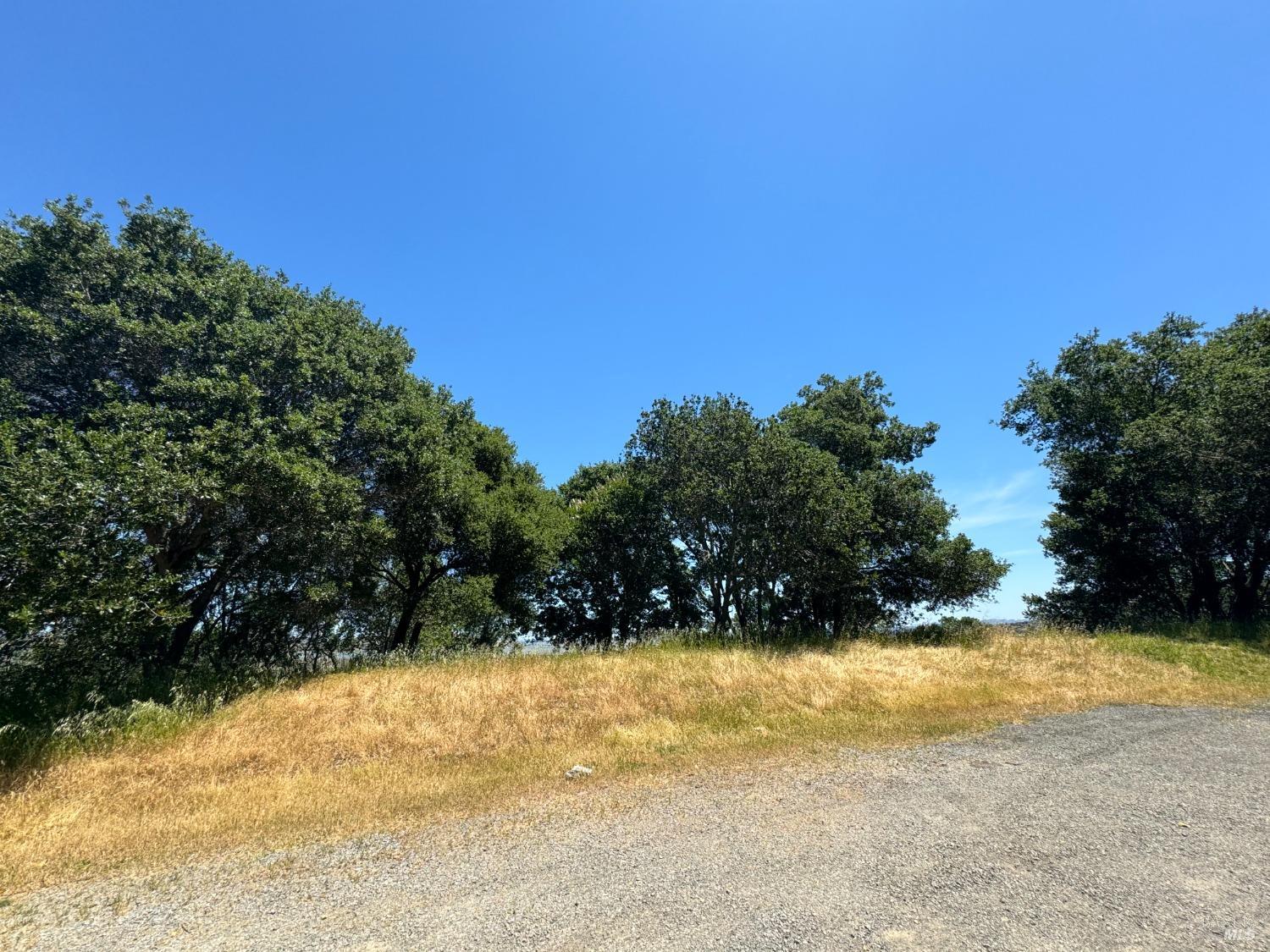 Detail Gallery Image 25 of 44 For 815 Meadowsweet Dr, Corte Madera,  CA 94925 - – Beds | – Baths