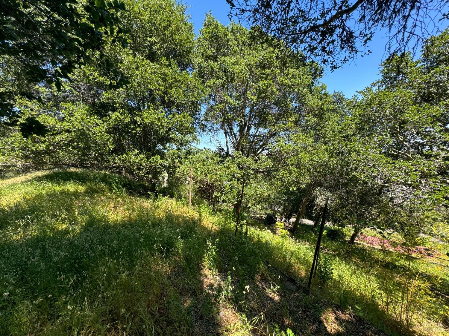 Detail Gallery Image 28 of 44 For 815 Meadowsweet Dr, Corte Madera,  CA 94925 - – Beds | – Baths