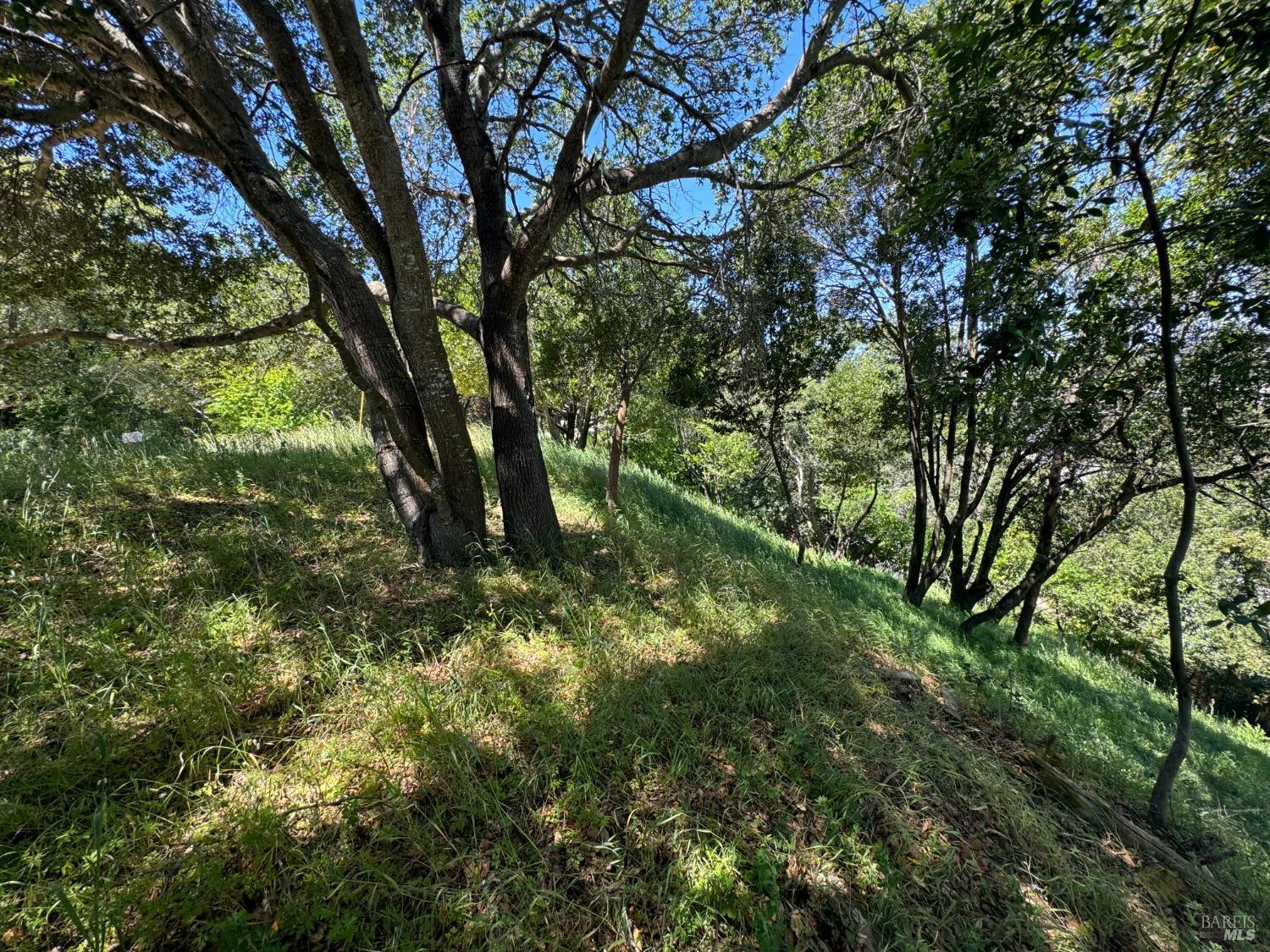 Detail Gallery Image 16 of 44 For 815 Meadowsweet Dr, Corte Madera,  CA 94925 - – Beds | – Baths