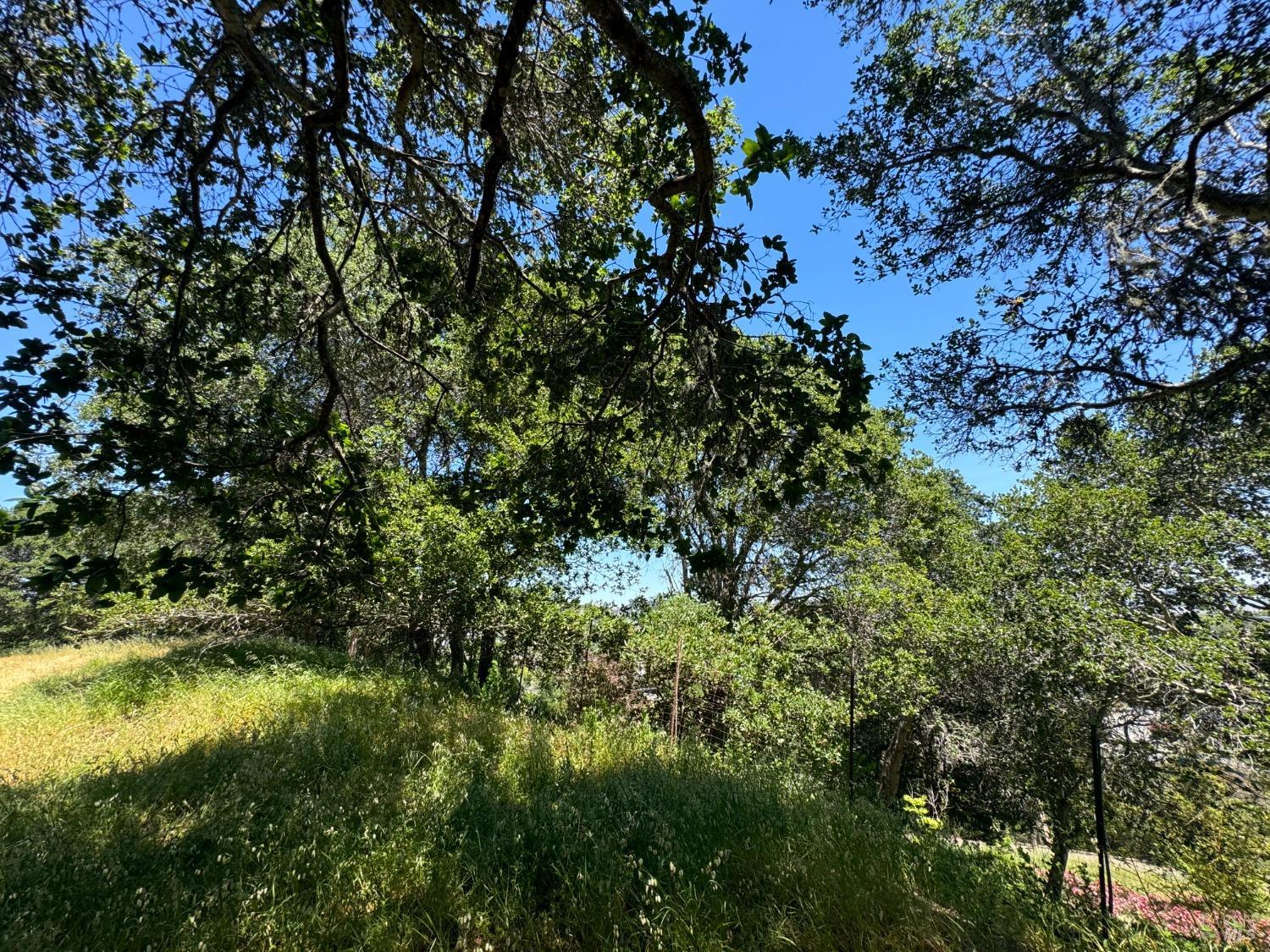 Detail Gallery Image 31 of 44 For 815 Meadowsweet Dr, Corte Madera,  CA 94925 - – Beds | – Baths