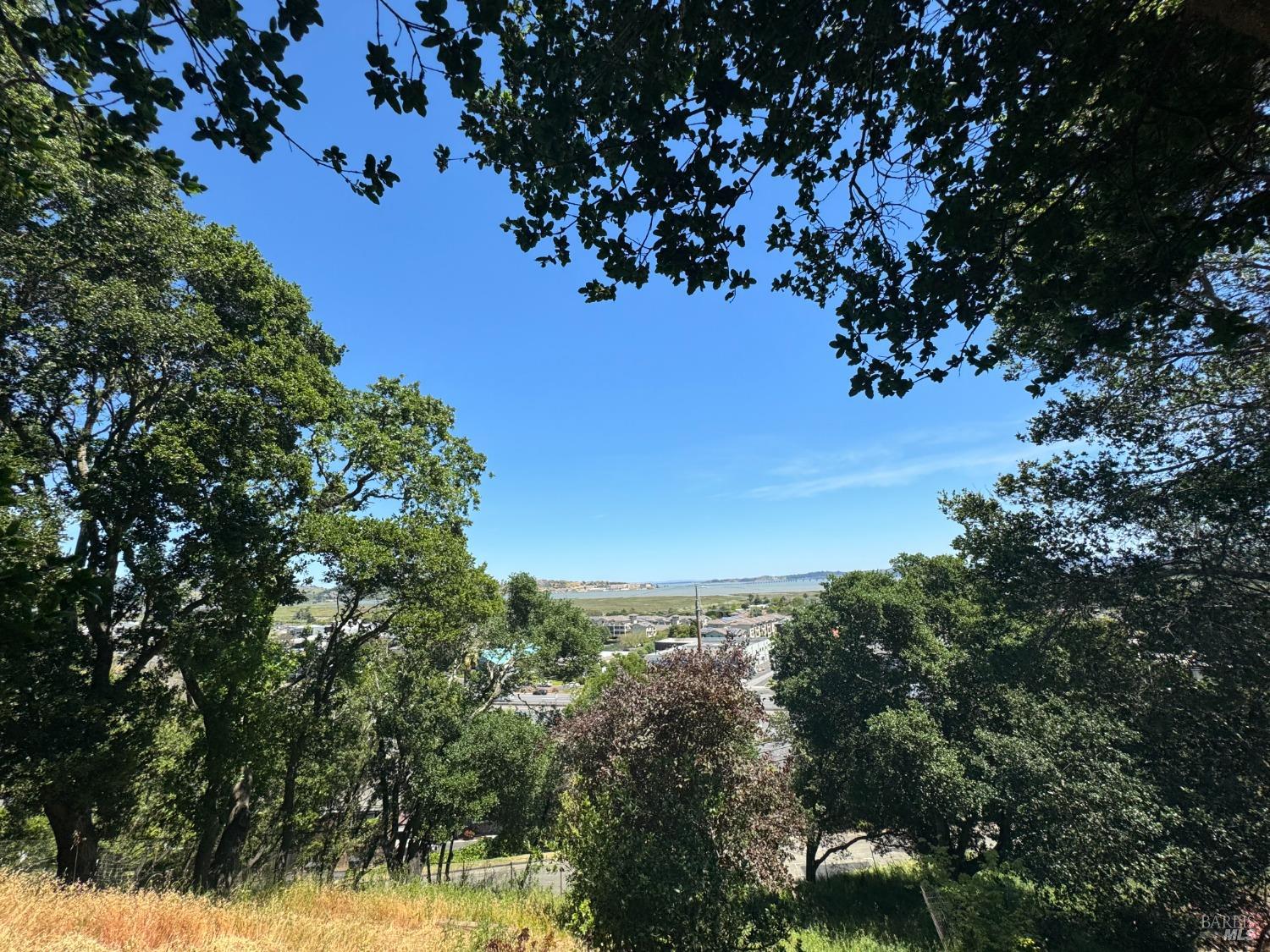 Detail Gallery Image 34 of 44 For 815 Meadowsweet Dr, Corte Madera,  CA 94925 - – Beds | – Baths