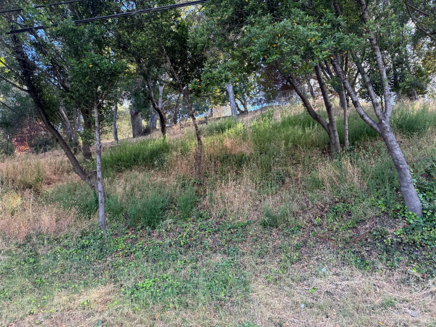 Detail Gallery Image 7 of 44 For 815 Meadowsweet Dr, Corte Madera,  CA 94925 - – Beds | – Baths