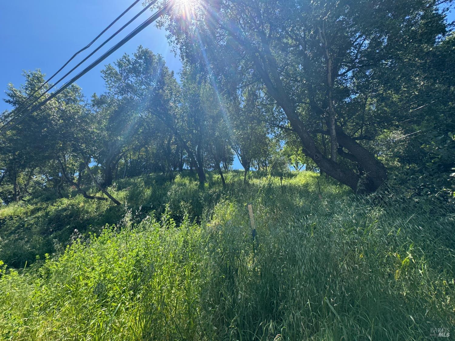 Detail Gallery Image 44 of 44 For 815 Meadowsweet Dr, Corte Madera,  CA 94925 - – Beds | – Baths