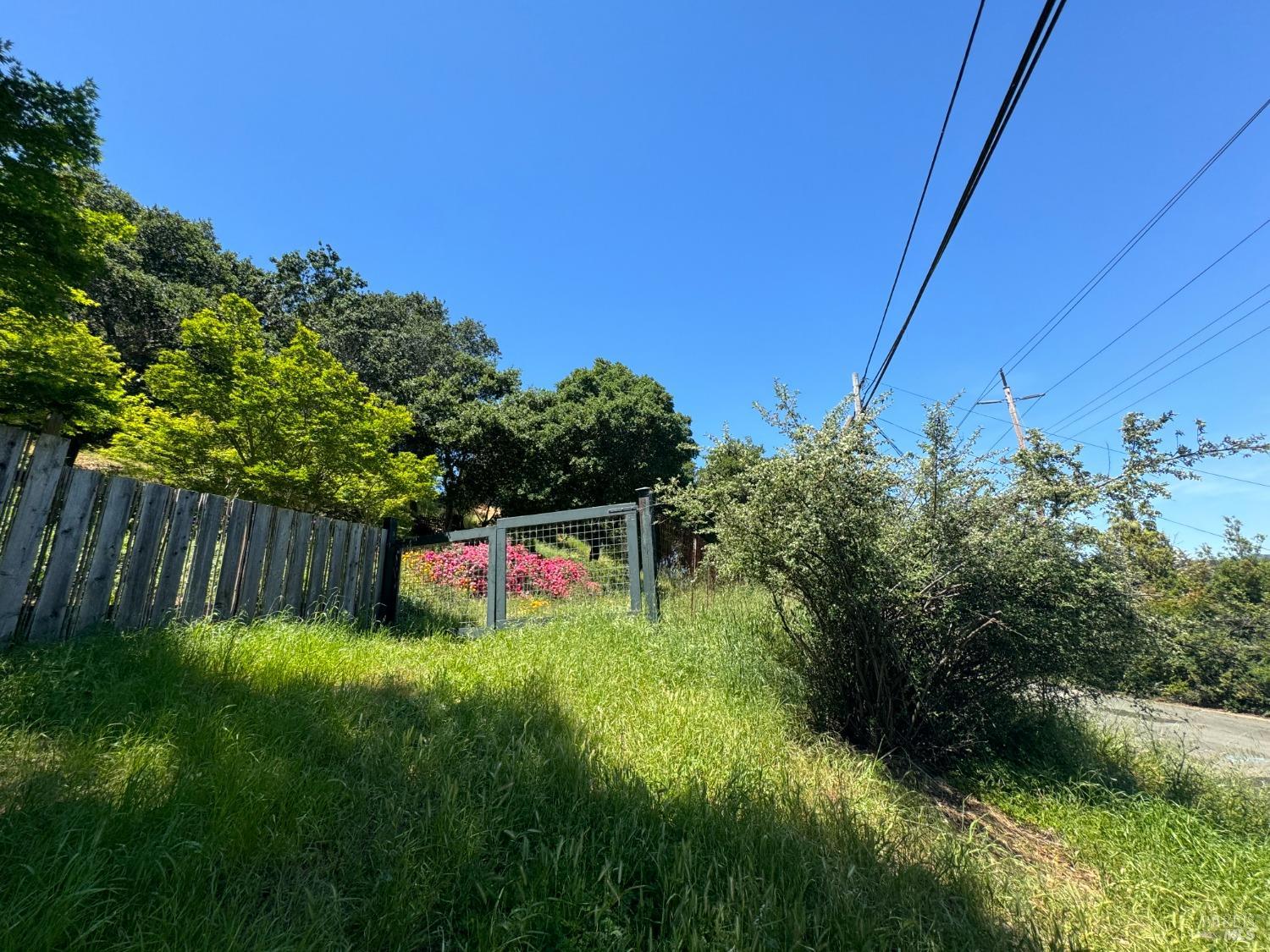 Detail Gallery Image 39 of 44 For 815 Meadowsweet Dr, Corte Madera,  CA 94925 - – Beds | – Baths