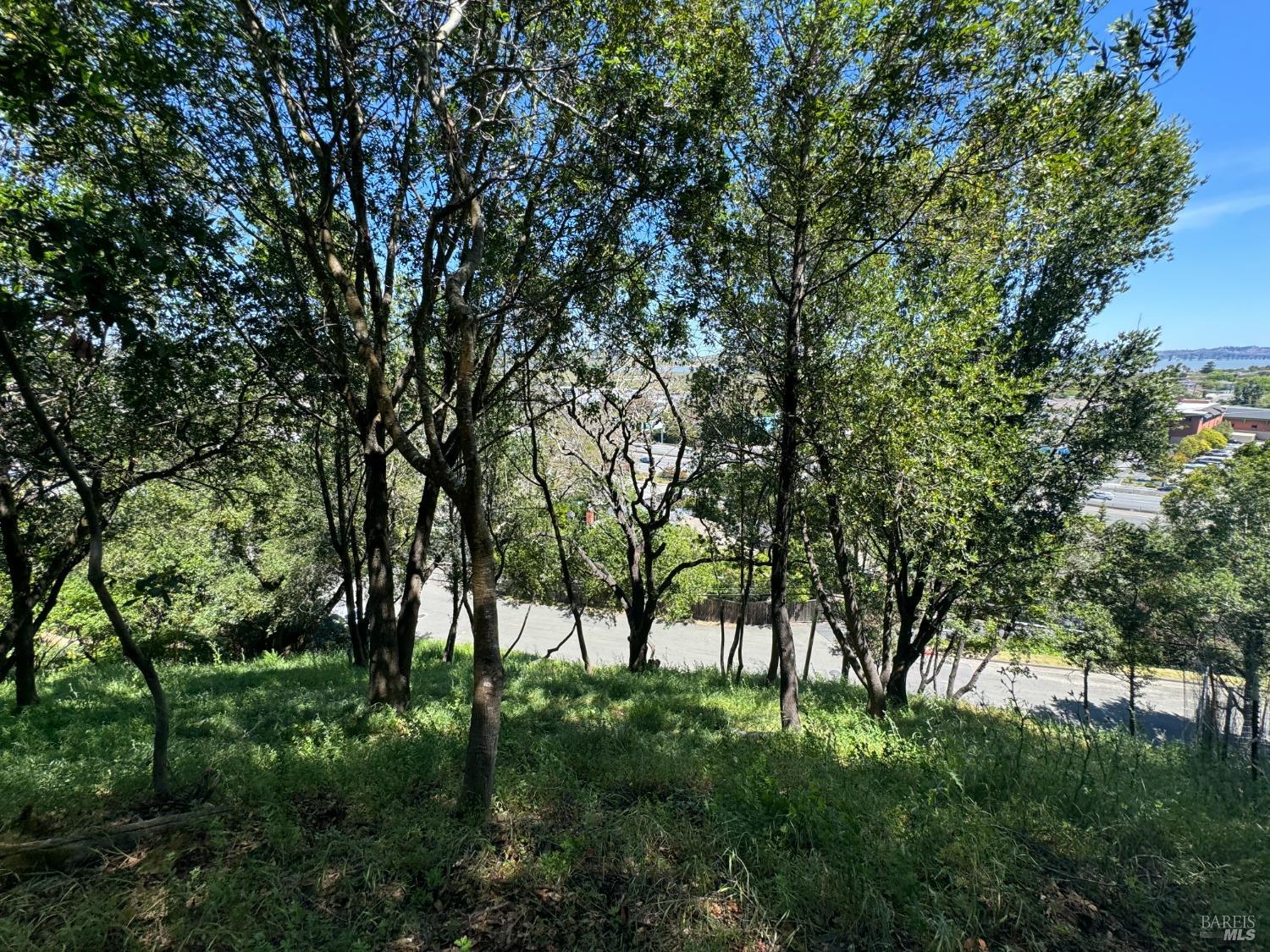 Detail Gallery Image 12 of 44 For 815 Meadowsweet Dr, Corte Madera,  CA 94925 - – Beds | – Baths