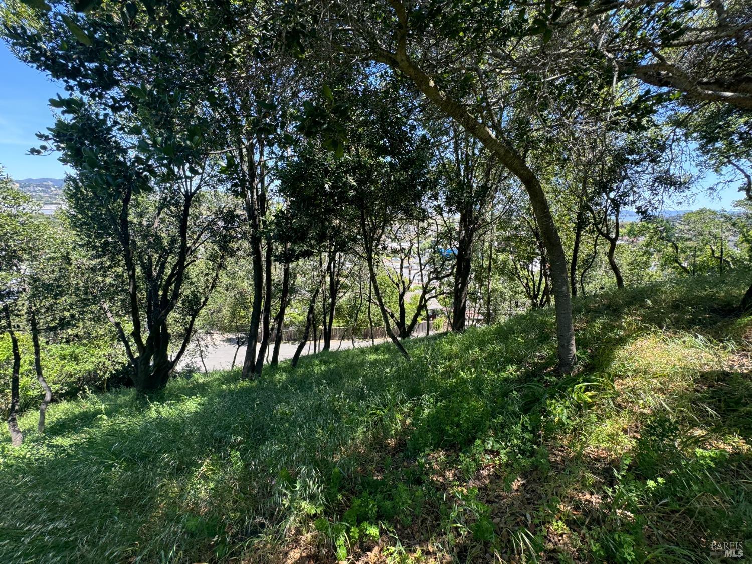 Detail Gallery Image 19 of 44 For 815 Meadowsweet Dr, Corte Madera,  CA 94925 - – Beds | – Baths