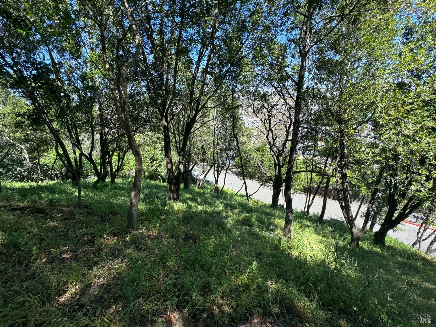 Detail Gallery Image 9 of 44 For 815 Meadowsweet Dr, Corte Madera,  CA 94925 - – Beds | – Baths