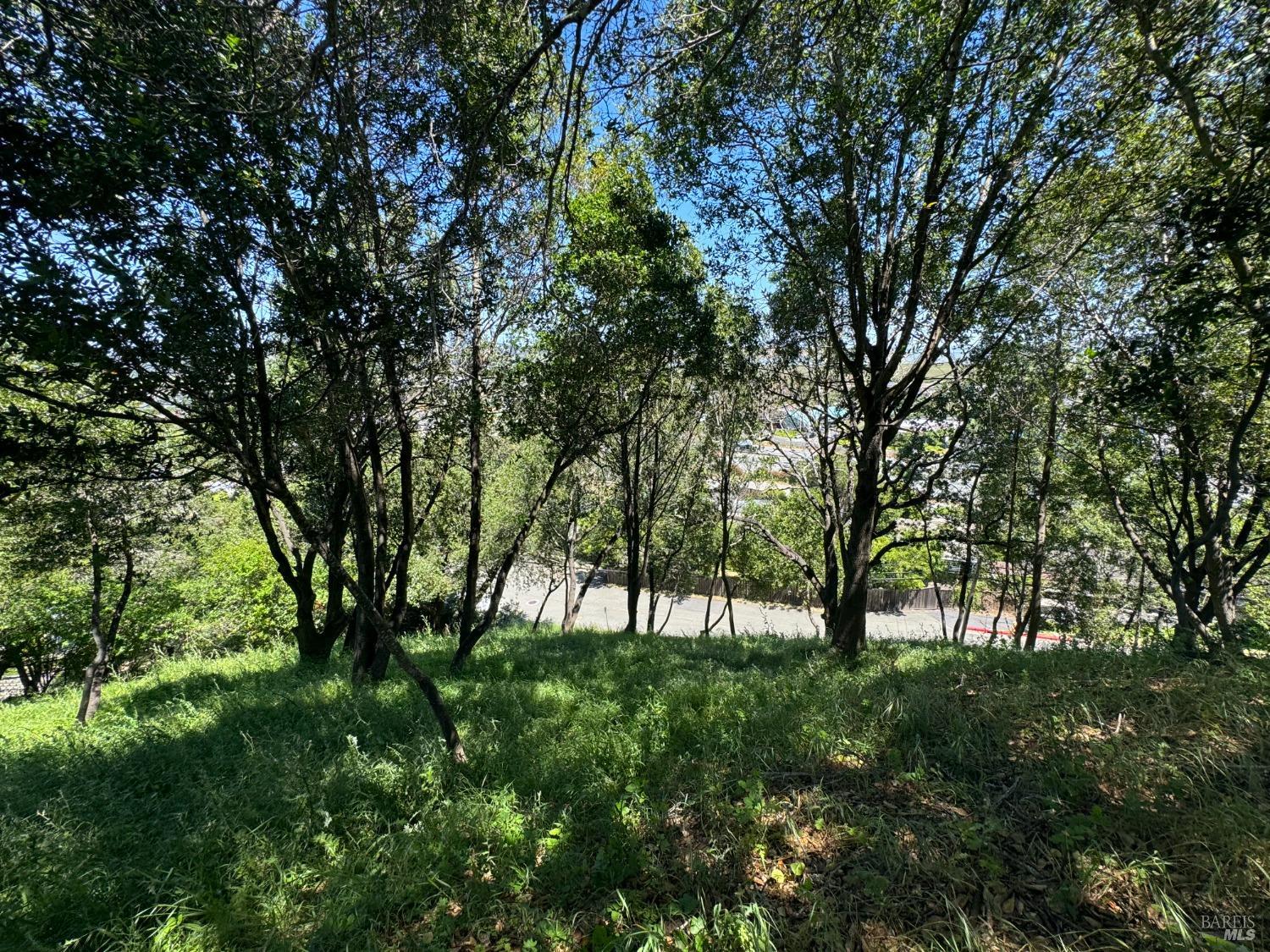 Detail Gallery Image 17 of 44 For 815 Meadowsweet Dr, Corte Madera,  CA 94925 - – Beds | – Baths