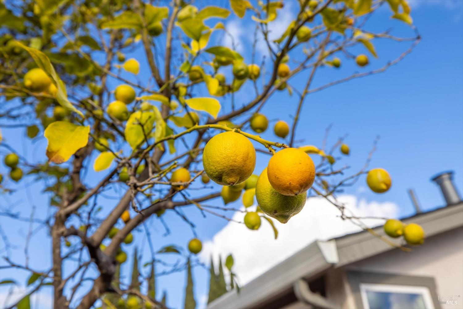 Detail Gallery Image 48 of 54 For 2351 Twain Ct, Fairfield,  CA 94533 - 3 Beds | 2 Baths