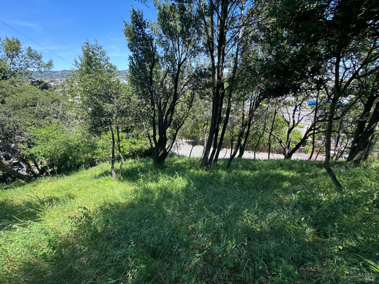 Detail Gallery Image 22 of 44 For 815 Meadowsweet Dr, Corte Madera,  CA 94925 - – Beds | – Baths