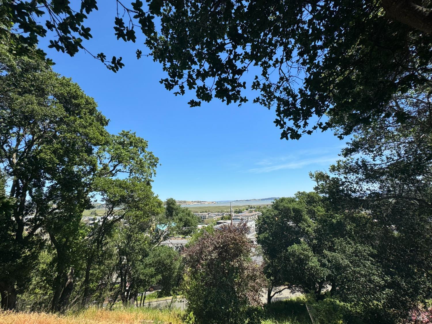 Detail Gallery Image 33 of 44 For 815 Meadowsweet Dr, Corte Madera,  CA 94925 - – Beds | – Baths