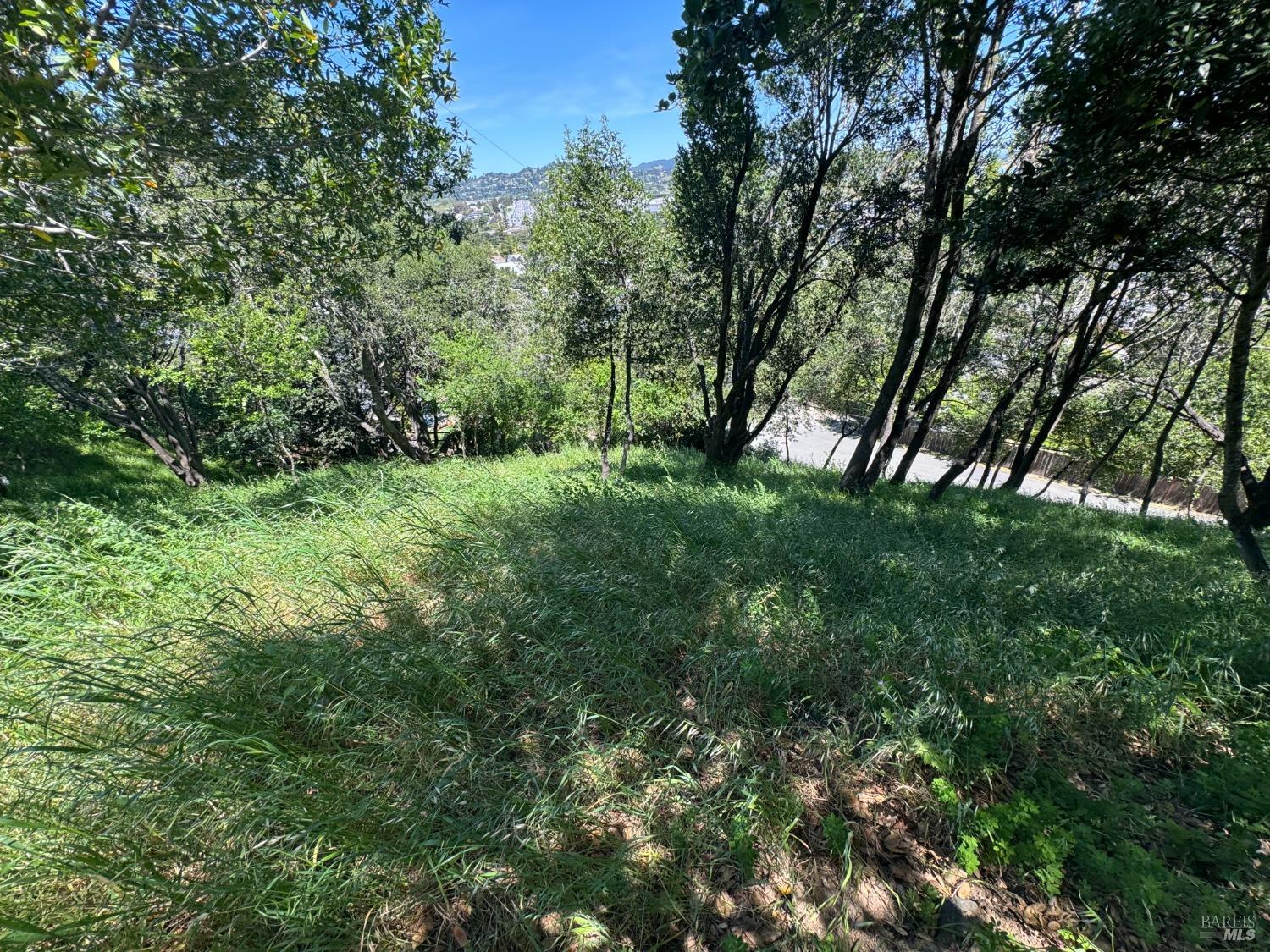 Detail Gallery Image 18 of 44 For 815 Meadowsweet Dr, Corte Madera,  CA 94925 - – Beds | – Baths