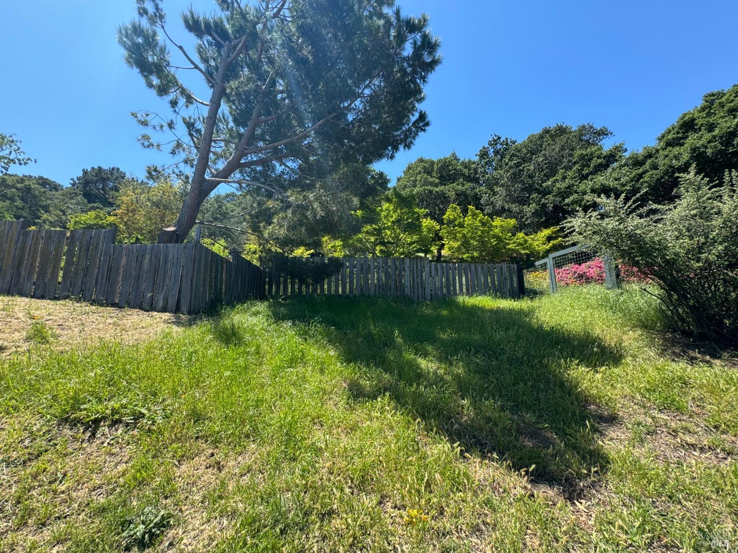 Detail Gallery Image 35 of 44 For 815 Meadowsweet Dr, Corte Madera,  CA 94925 - – Beds | – Baths