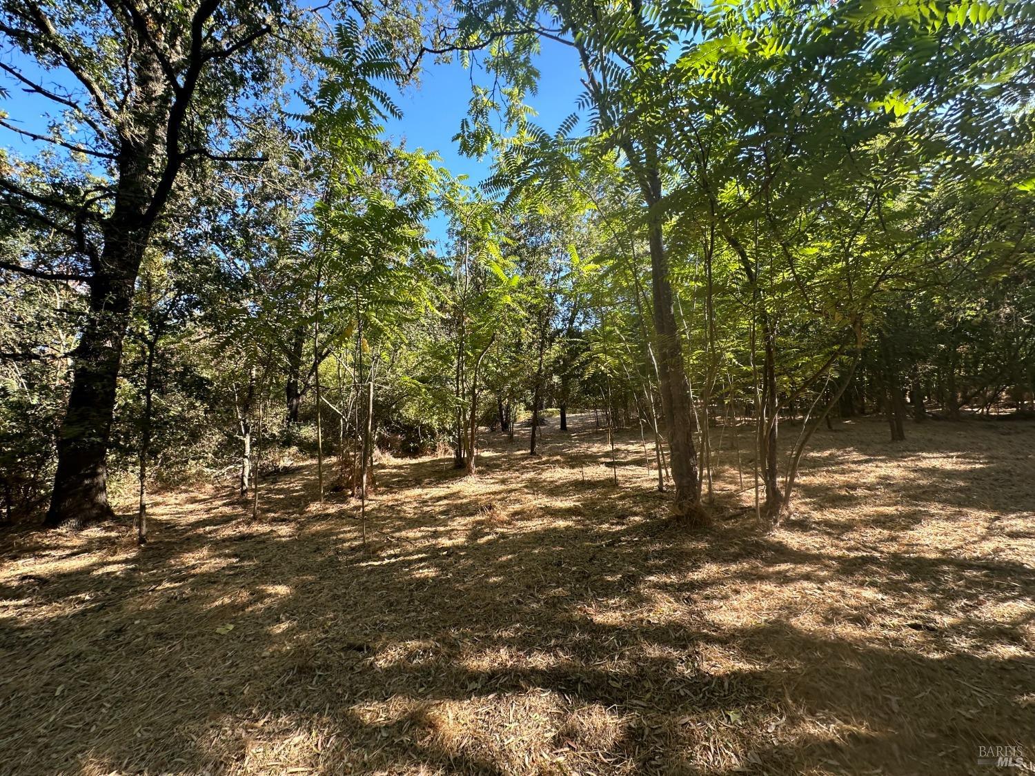 Detail Gallery Image 7 of 8 For 200 Napa Rd, Sonoma,  CA 95476 - – Beds | – Baths