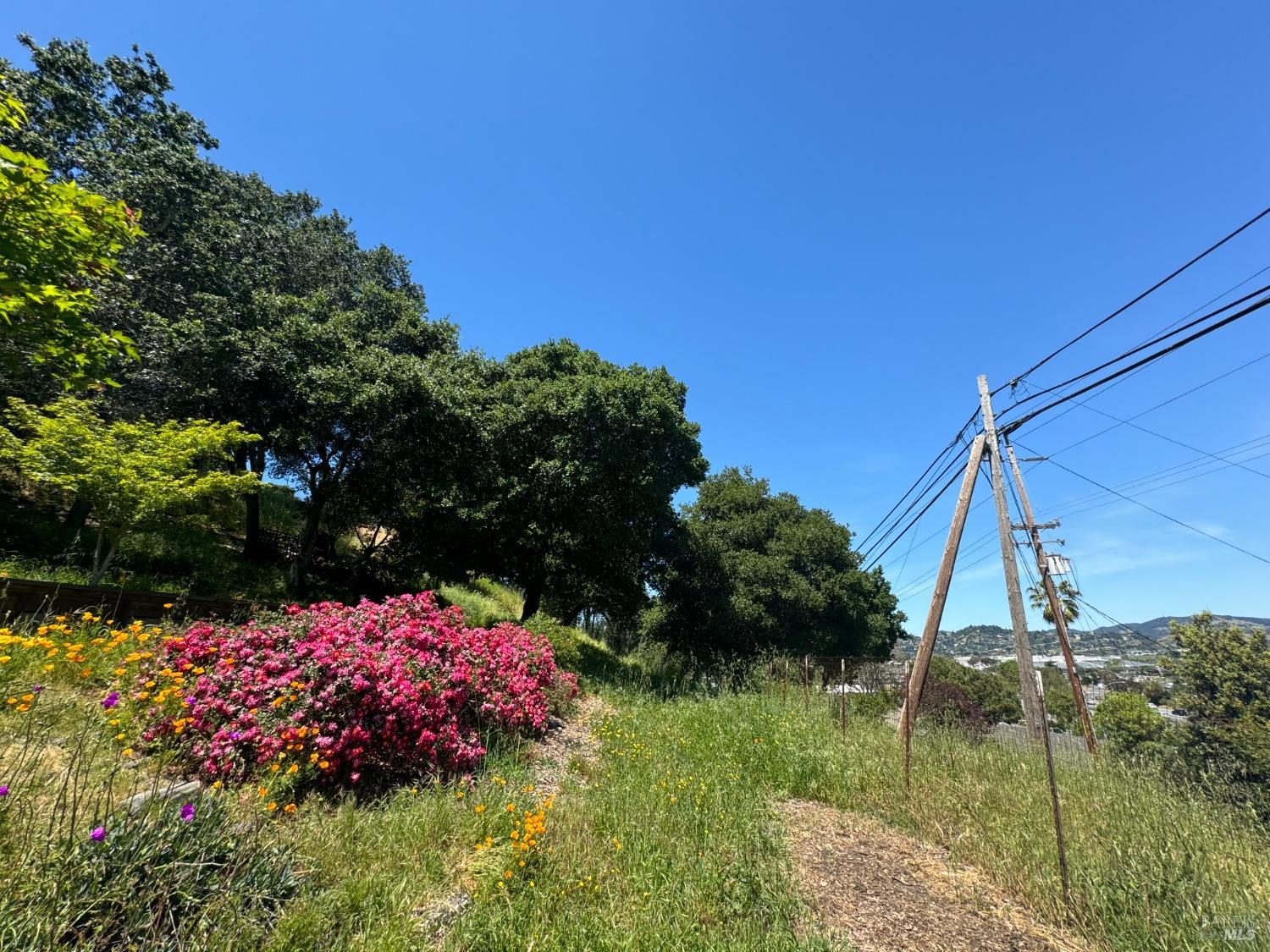 Detail Gallery Image 37 of 44 For 815 Meadowsweet Dr, Corte Madera,  CA 94925 - – Beds | – Baths