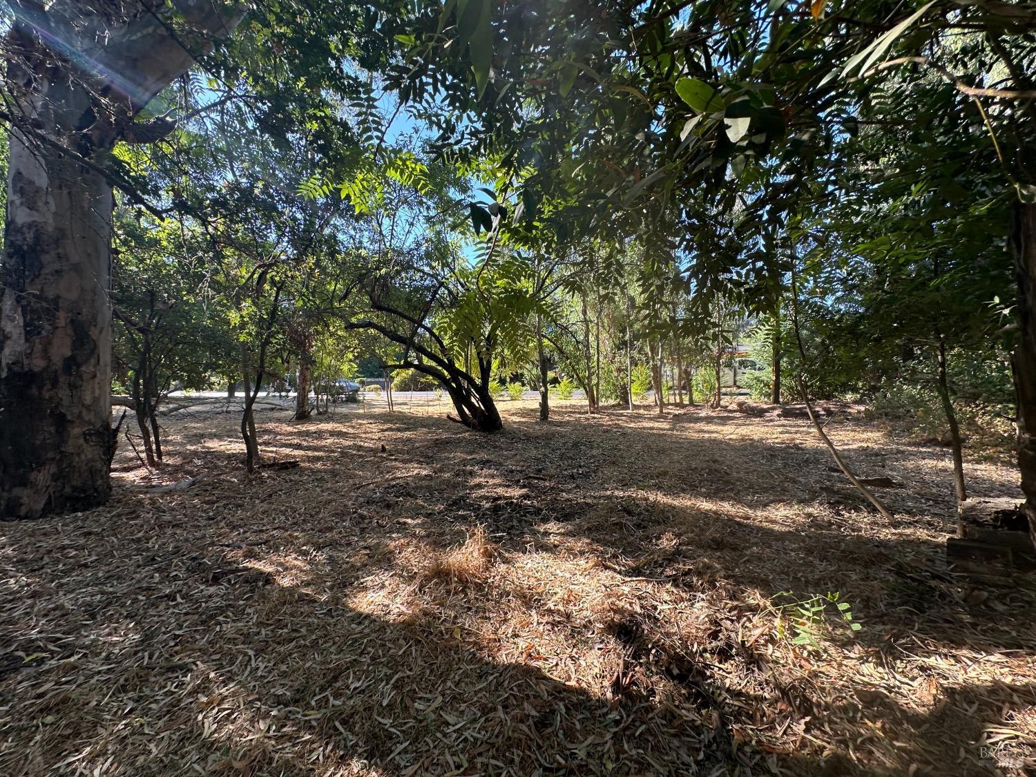 Detail Gallery Image 8 of 8 For 200 Napa Rd, Sonoma,  CA 95476 - – Beds | – Baths