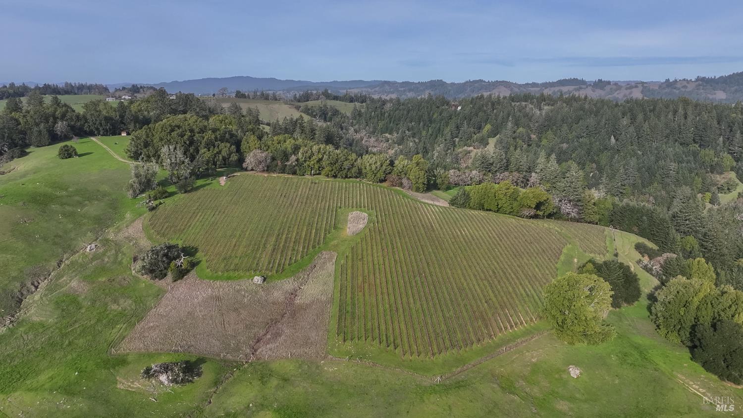 Detail Gallery Image 44 of 89 For 38555 Hauser Bridge Rd, Cazadero,  CA 95421 - 5 Beds | 2 Baths