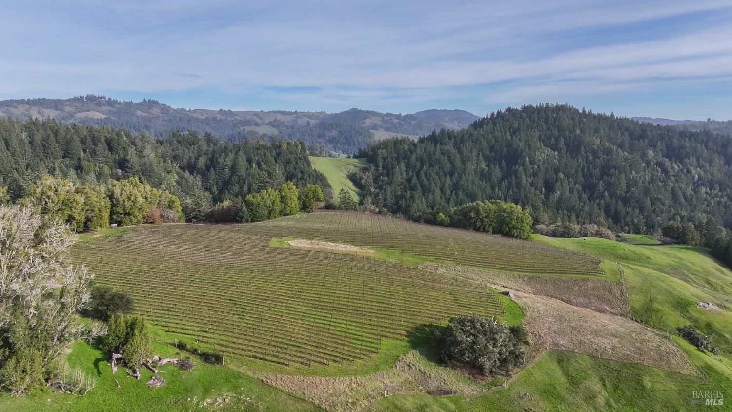 Detail Gallery Image 45 of 89 For 38555 Hauser Bridge Rd, Cazadero,  CA 95421 - 5 Beds | 2 Baths