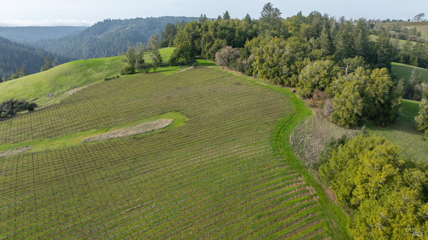 Detail Gallery Image 39 of 89 For 38555 Hauser Bridge Rd, Cazadero,  CA 95421 - 5 Beds | 2 Baths