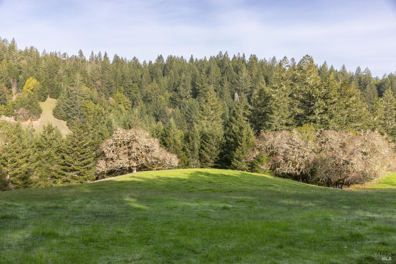 Detail Gallery Image 9 of 89 For 38555 Hauser Bridge Rd, Cazadero,  CA 95421 - 5 Beds | 2 Baths