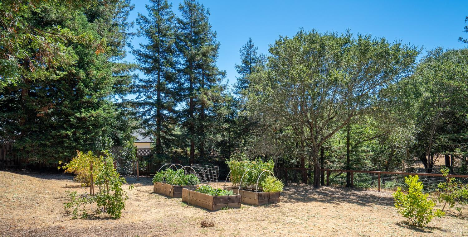 Detail Gallery Image 26 of 29 For 219 Burgundy Rd, Healdsburg,  CA 95448 - 4 Beds | 2 Baths