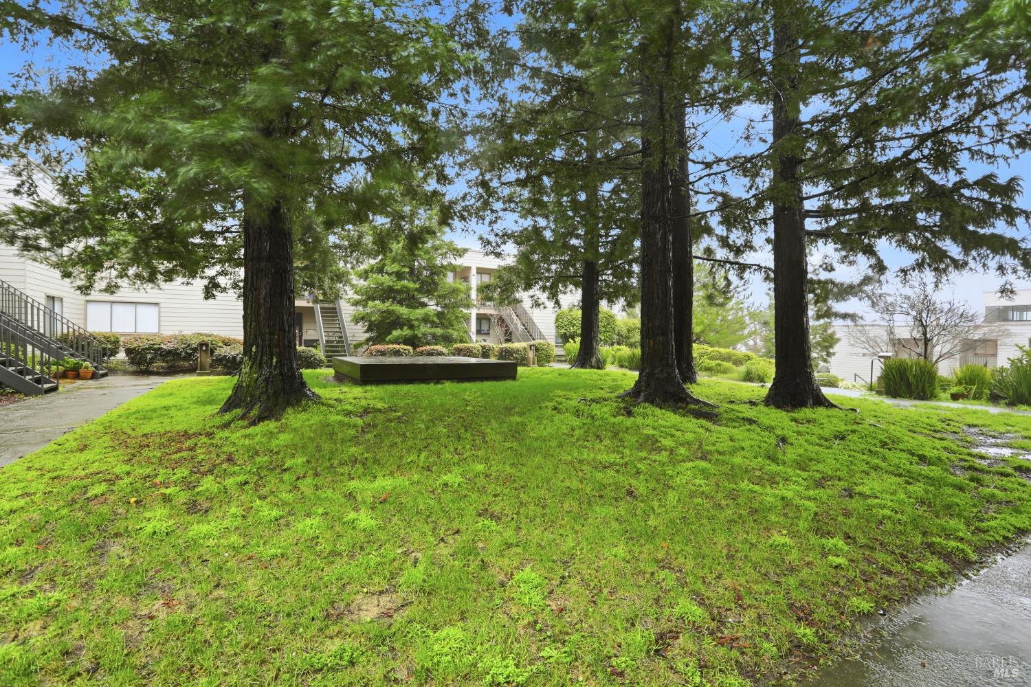 Detail Gallery Image 34 of 44 For 944 via Casitas Unkn, Greenbrae,  CA 94904 - 2 Beds | 2 Baths