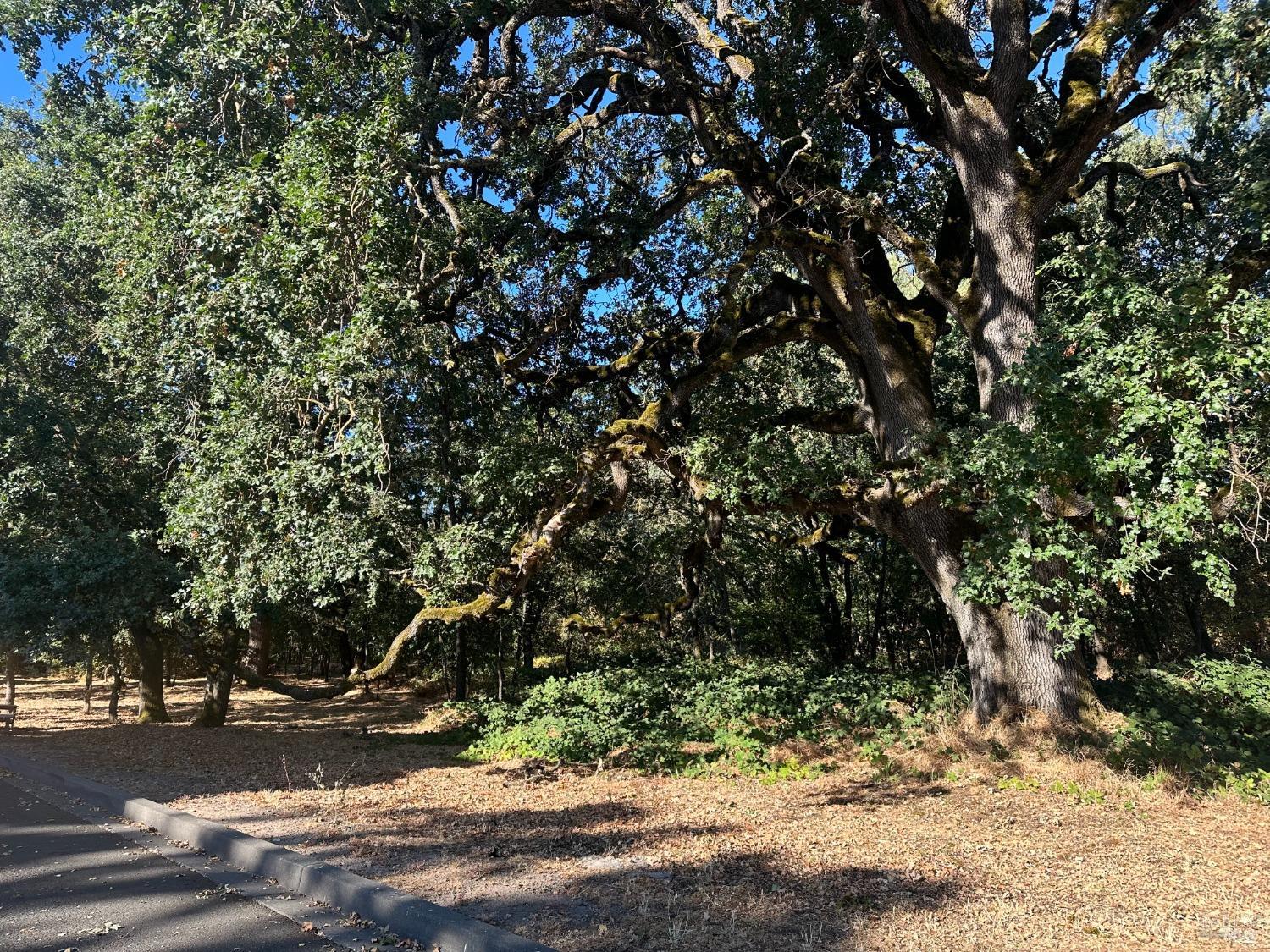 Detail Gallery Image 2 of 8 For 250 Napa Rd, Sonoma,  CA 95476 - – Beds | – Baths