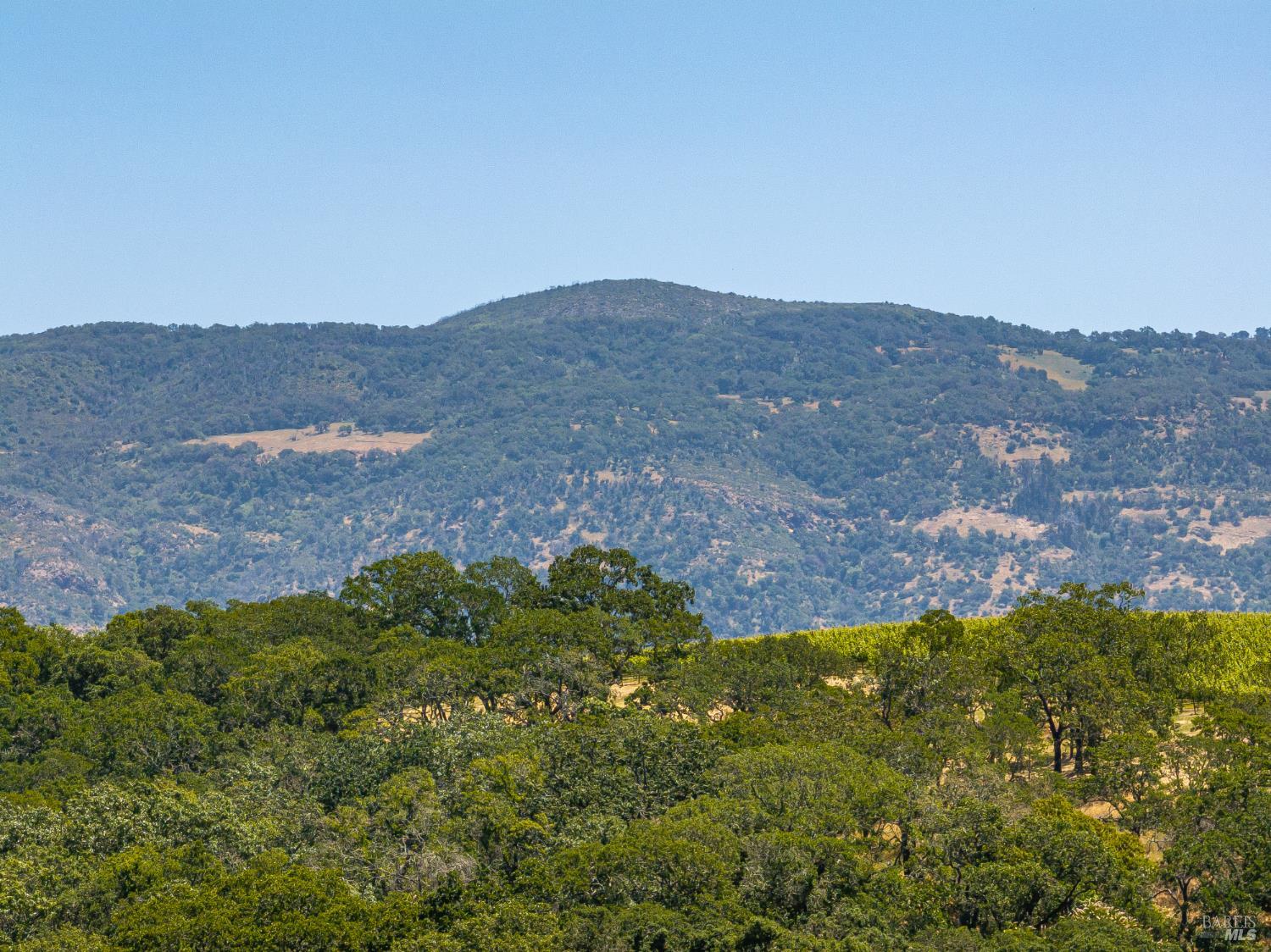 Detail Gallery Image 23 of 39 For 0 Montecito Blvd, Napa,  CA 94558 - – Beds | – Baths