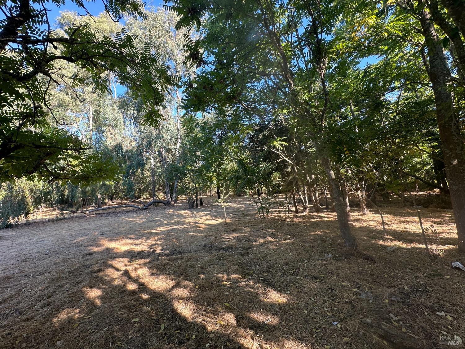 Detail Gallery Image 4 of 8 For 250 Napa Rd, Sonoma,  CA 95476 - – Beds | – Baths