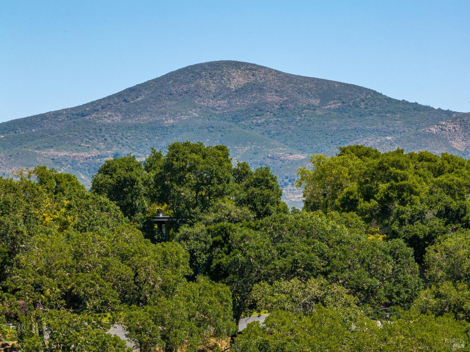 Detail Gallery Image 24 of 39 For 0 Montecito Blvd, Napa,  CA 94558 - – Beds | – Baths