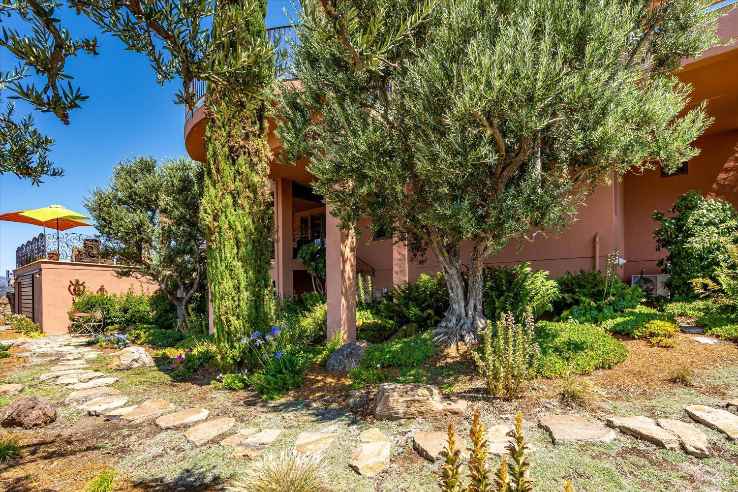 Detail Gallery Image 7 of 75 For 1340 Crestmont Dr, Angwin,  CA 94508 - 4 Beds | 4/1 Baths