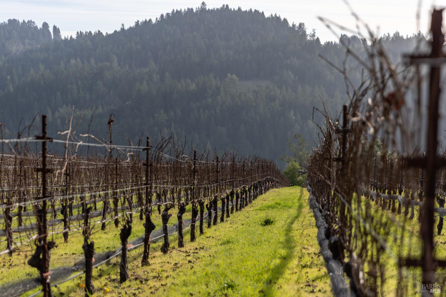 Detail Gallery Image 6 of 89 For 38555 Hauser Bridge Rd, Cazadero,  CA 95421 - 5 Beds | 2 Baths