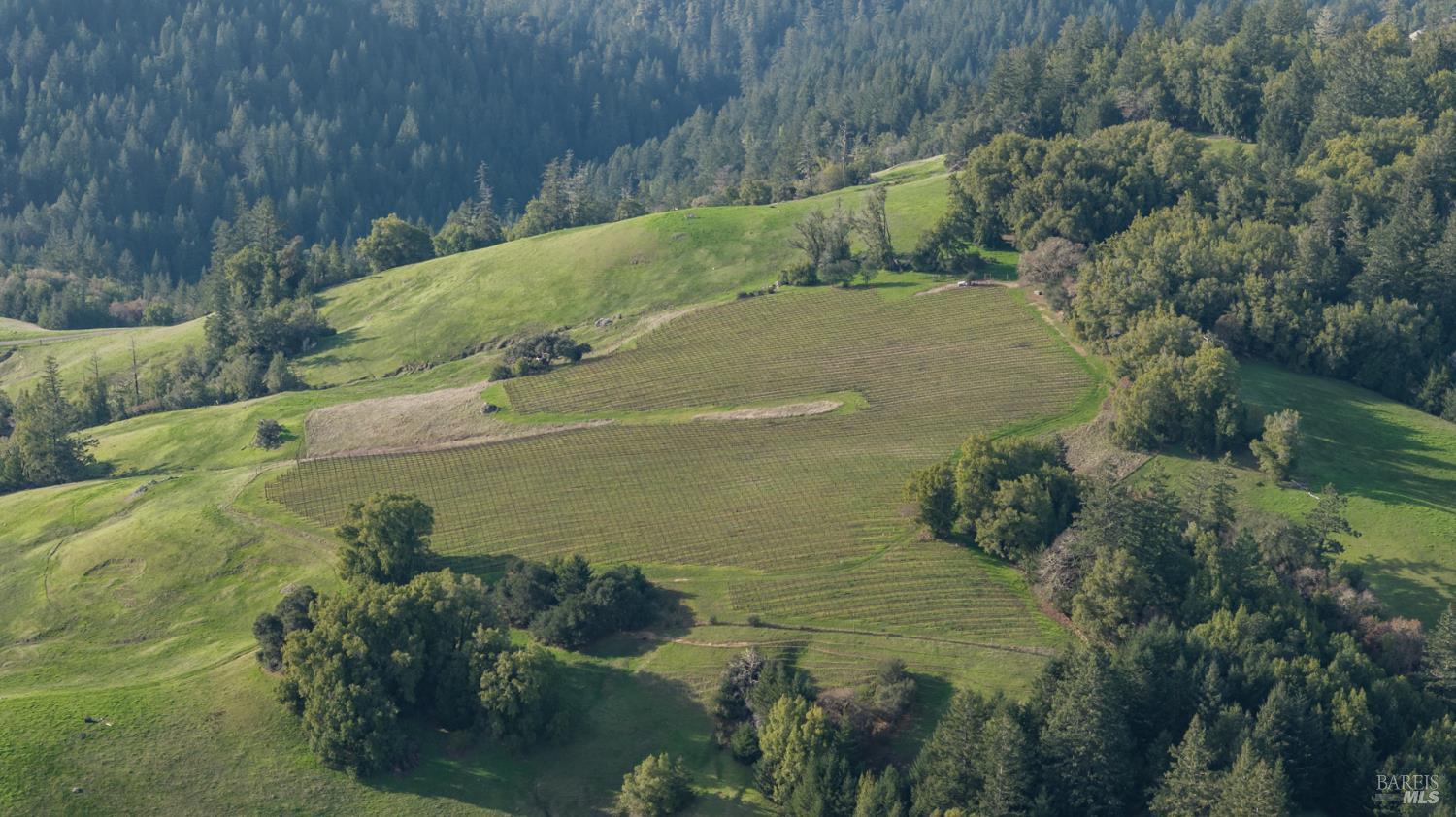 Detail Gallery Image 35 of 89 For 38555 Hauser Bridge Rd, Cazadero,  CA 95421 - 5 Beds | 2 Baths